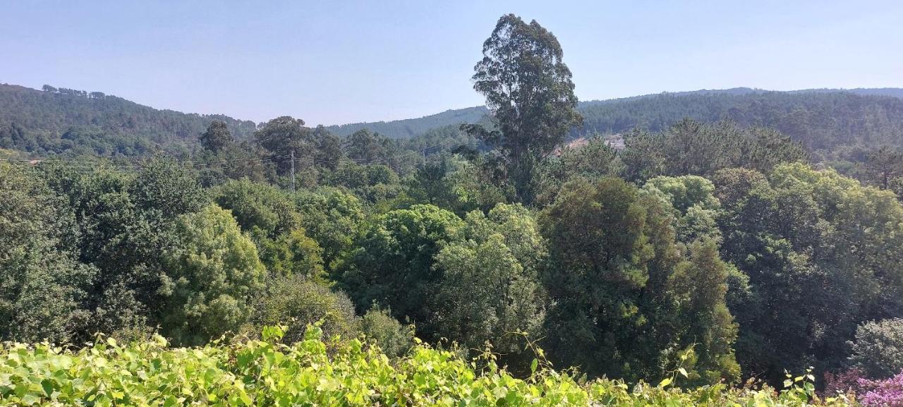 Green Paradise Glamping Covas (Viana do Castelo) Exterior foto