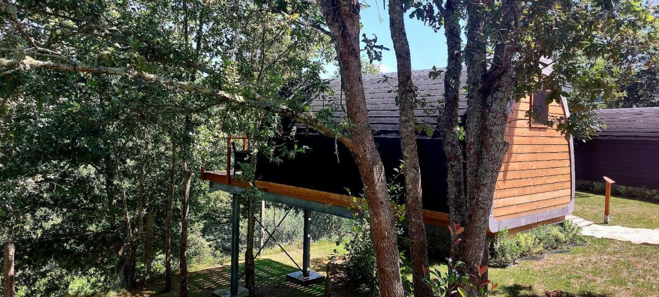 Green Paradise Glamping Covas (Viana do Castelo) Exterior foto